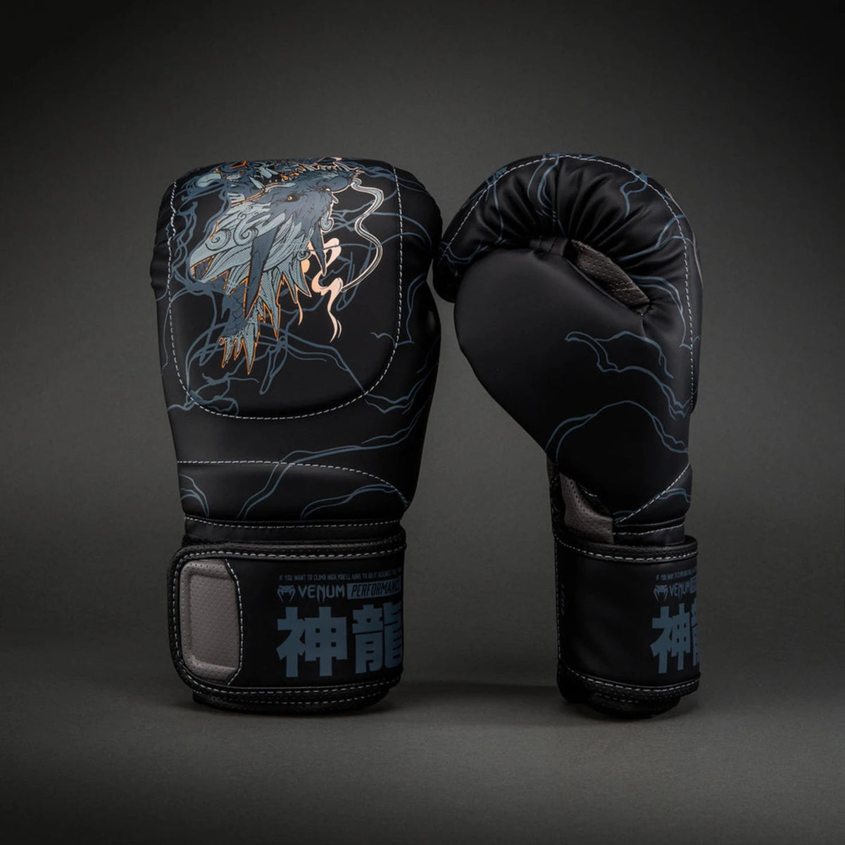 Venum Thunder Dragon Rame Boxing Gloves