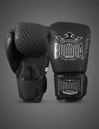 Buddha Titanium Boxing Gloves